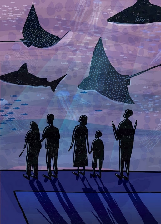 Silhouetted family watching manta rays and a shark swim overhead in an aquarium