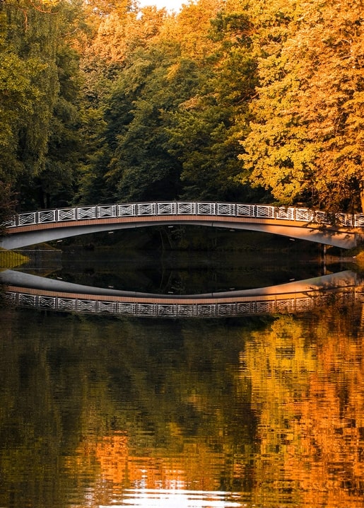 Weiße Bogenbrücke spiegelt sich in einem stillen See umgeben von goldenen Herbstbäumen