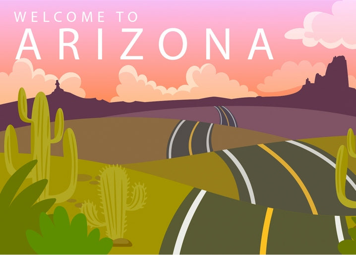 Zweispurige Straße durch Kakteen und rote Felsen bei Sonnenuntergang in Arizona
