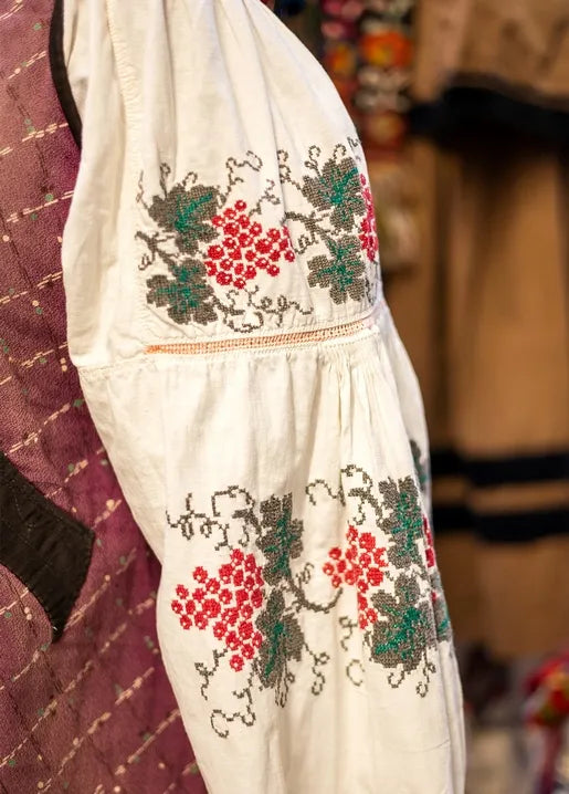 Ukrainian autumn photo postcard featuring embroidered clothing with red viburnum berries and green leaves