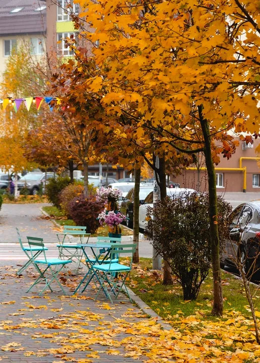 Autumn city photo postcard featuring a street café with turquoise chairs beneath golden trees