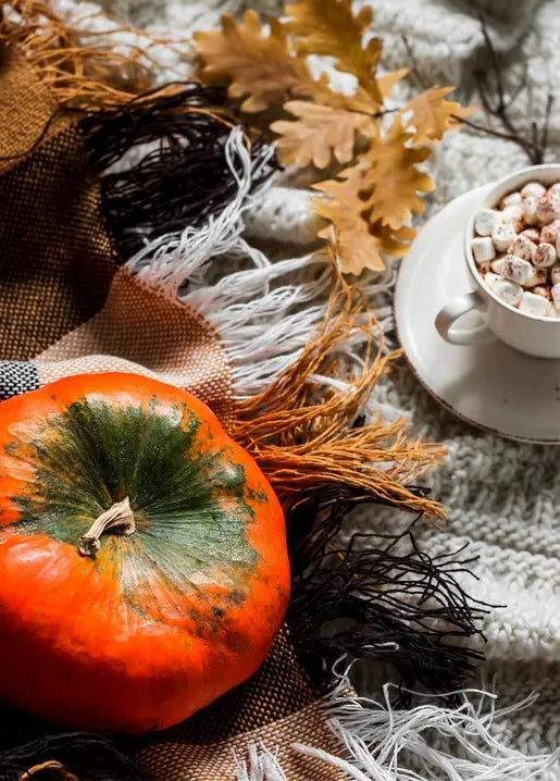 Autumn postcard featuring hot chocolate with marshmallows beside a pumpkin and knitted blankets