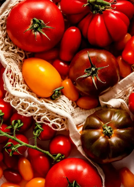 Harvest postcard featuring colourful heirloom tomatoes in a natural market bag