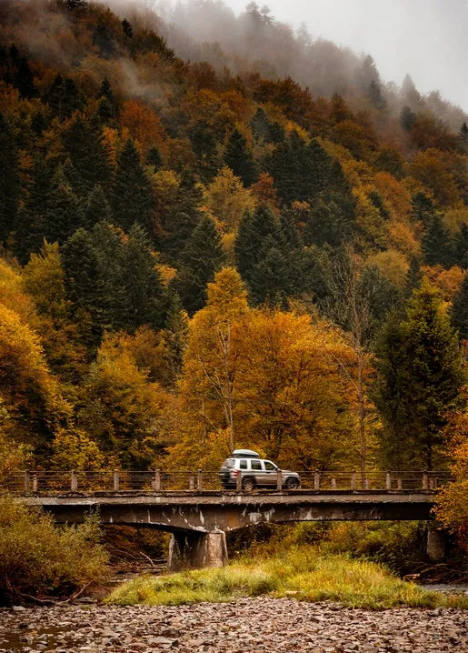 Autumn landscape postcard featuring a mountain road and bridge surrounded by a misty golden forest