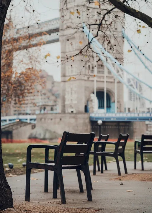 Autumn London photo postcard featuring Tower Bridge framed by trees and riverside chairs