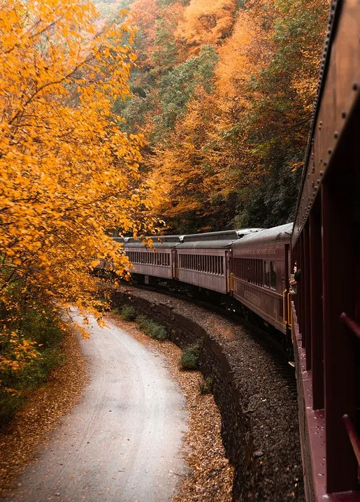 Autumn photo postcard featuring a heritage passenger train winding through a golden forest