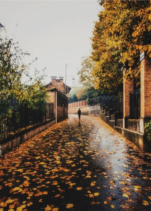 Rainy autumn photo postcard featuring a quiet lane with old brick houses and fallen golden leaves