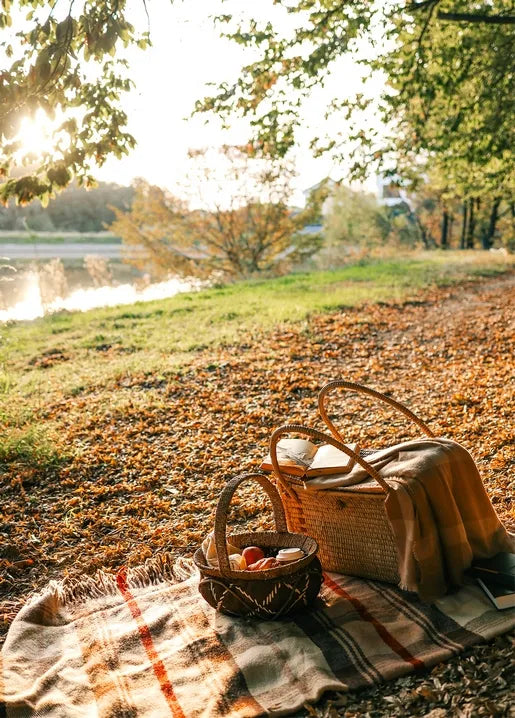 Cozy autumn picnic photo postcard with a wicker basket, blanket, apples and an open book