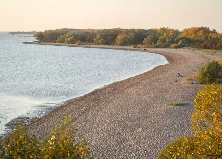 Autumn coastal photo postcard featuring a quiet pebble beach curving along calm water and golden trees