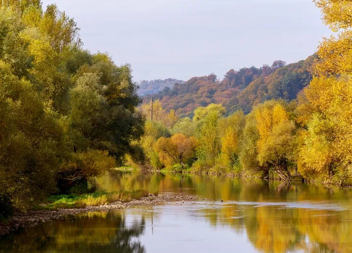 Autumn landscape postcard featuring a calm river reflecting golden trees and wooded hills