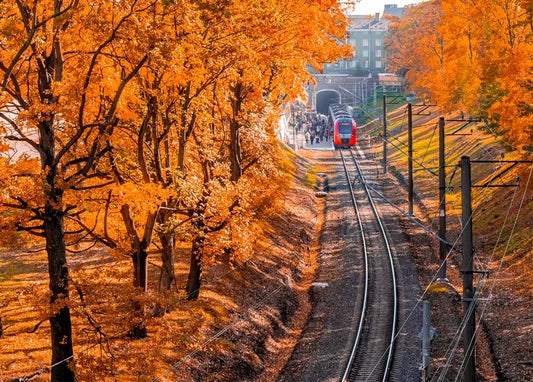 Autumn. The Scent of Cinnamon - Postcard