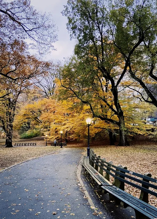 Autumn photo postcard featuring a quiet park path with golden trees, benches and lamps