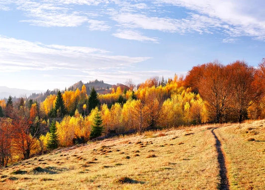 Autumn. The Scent of Cinnamon - Postcard