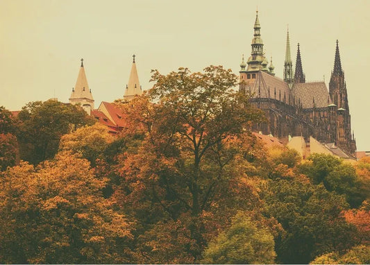 Autumn. The Scent of Cinnamon - Postcard