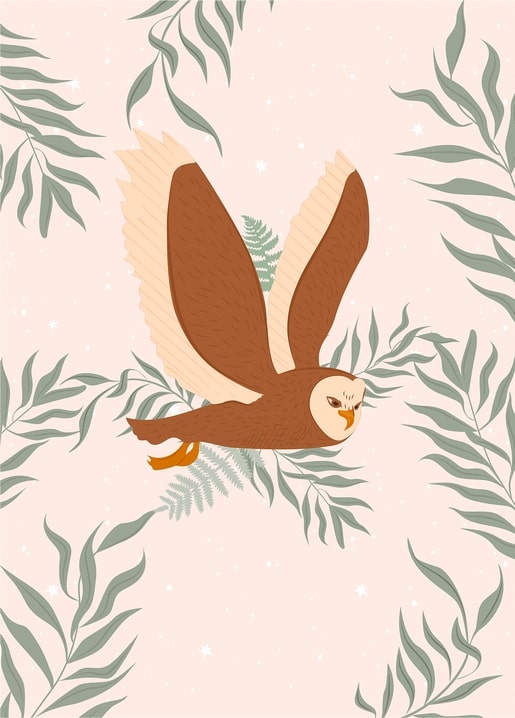 Barn owl flying through fern fronds on a starry blush-pink background