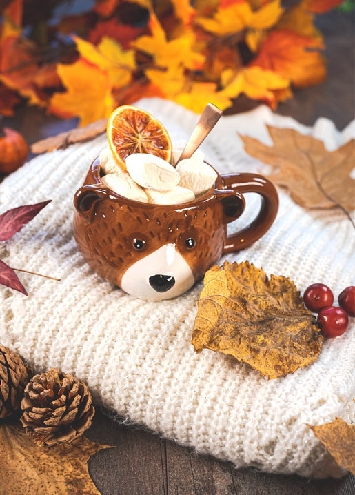 Bear-shaped mug filled with hot cocoa, marshmallows, and a dried orange slice on a knit blanket