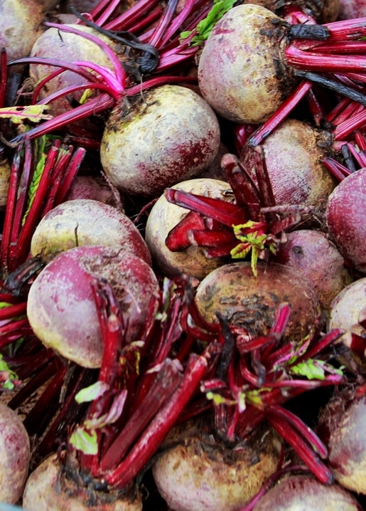 Haufen frisch geernteter Roter Bete mit leuchtend roten Stielen und Blättern