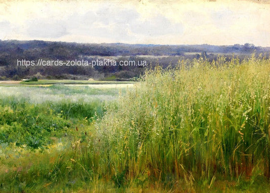 Tall meadow grass and wildflowers by a quiet river, watercolor landscape painting