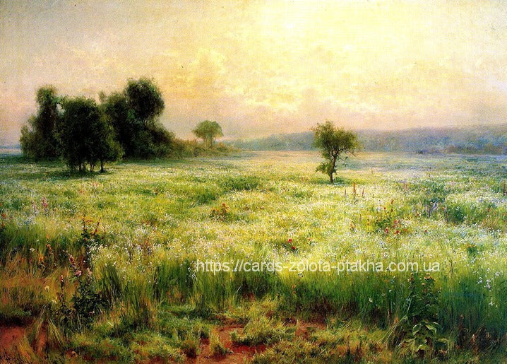 Golden sunrise light over a wildflower meadow with scattered trees and morning mist
