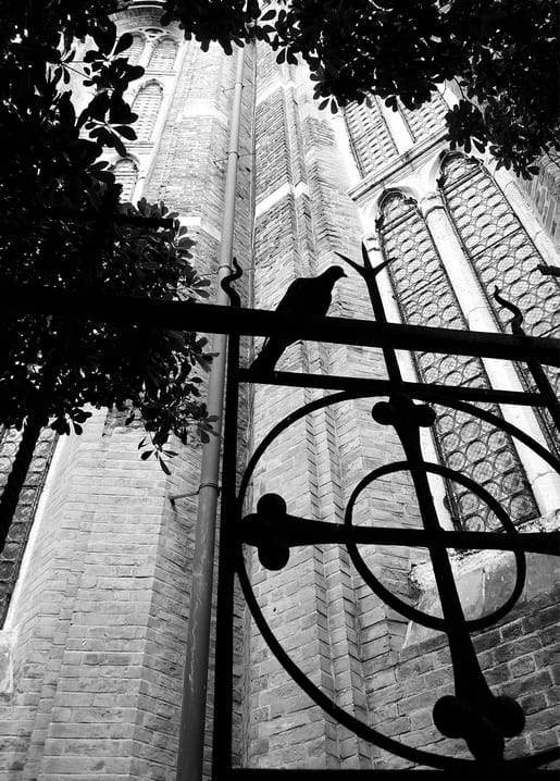 Black and white card