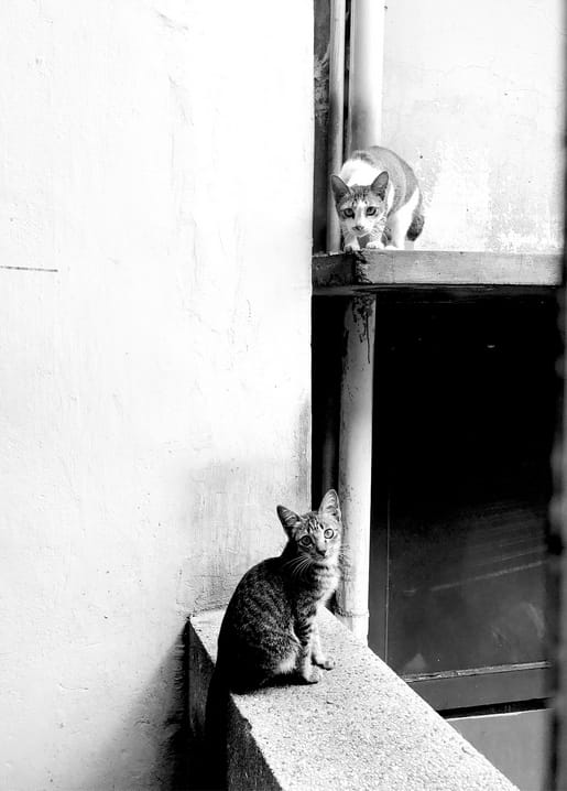 Black and white card