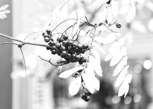 Black and white card