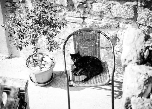 Black and white card