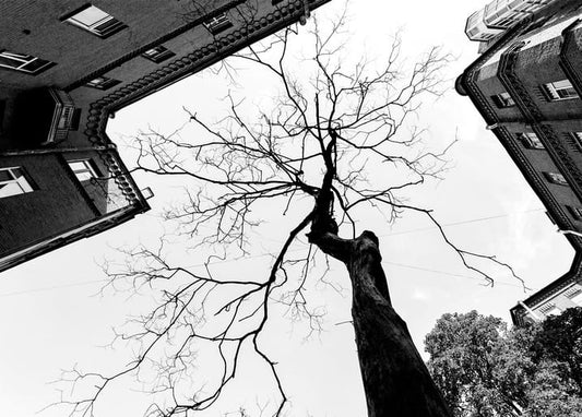 Black and white card