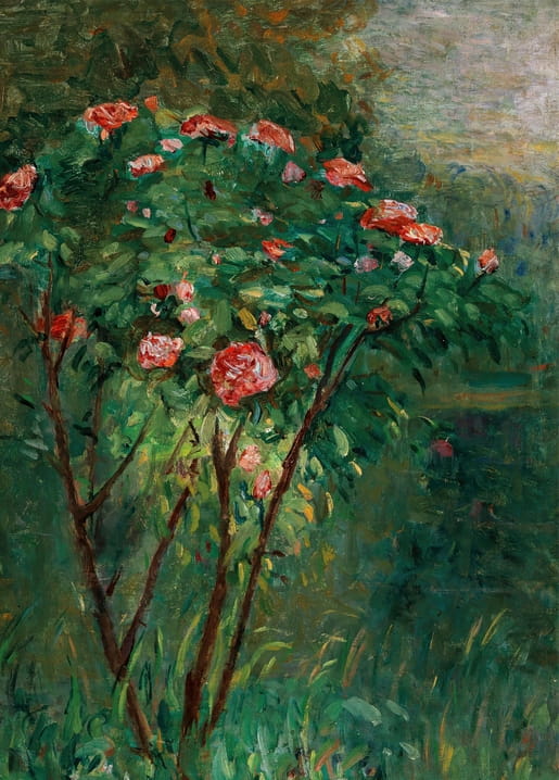 Gustave Caillebotte painting of a flowering pink rose bush, on a postcard