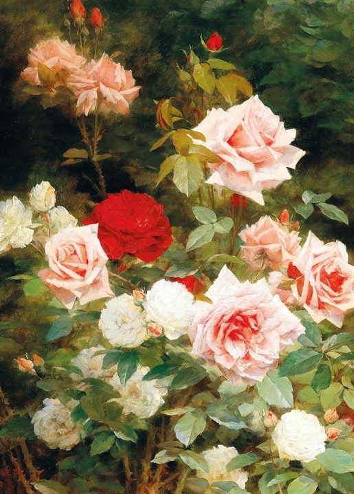 Gemälde von rosa, weißen und roten Rosen in einem Garten