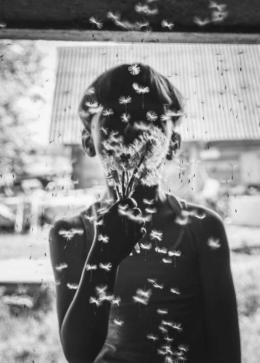 Person hält eine Pusteblume vors Gesicht, Samen fliegen im Wind, Schwarzweißfoto