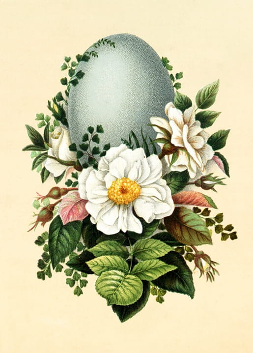 Illustration eines blaugrauen Eis zwischen weißen Rosen und Farnblättern im antiken Stil