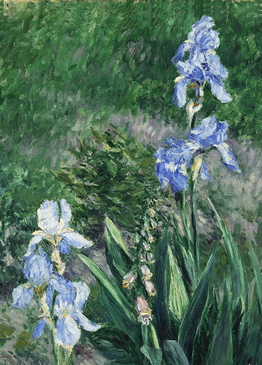 Painting of blue irises and foxglove buds in a garden by Gustave Caillebotte