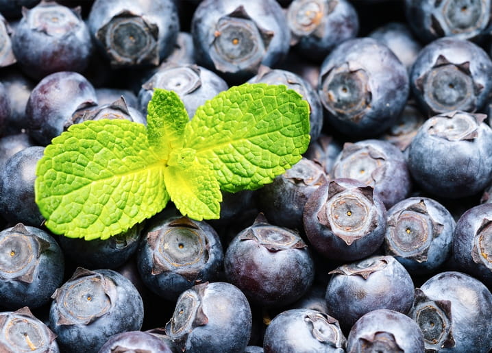 Nahaufnahme frischer Heidelbeeren mit einem grünen Minzblatt obenauf