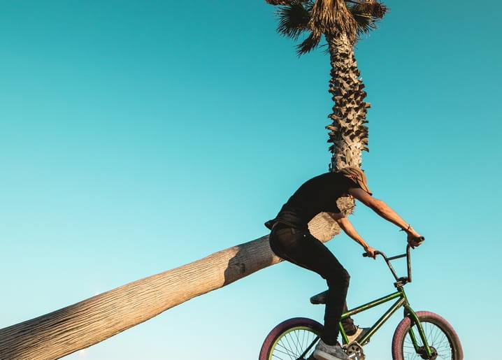 BMX-Fahrer balanciert sein Rad auf einer geneigten Palme vor blauem Himmel