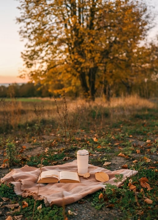 Aufgeschlagenes Buch und Kaffeebecher auf einer rosa Decke mit goldenem Herbstbaum bei Sonnenuntergang