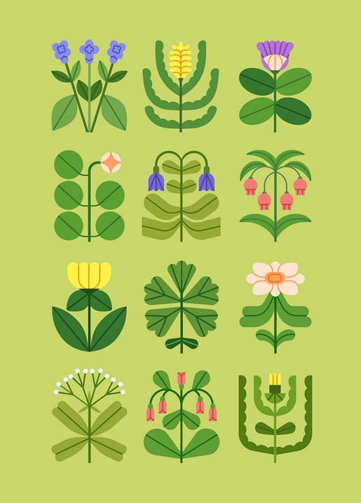 Raster aus zwölf flachen botanischen Illustrationen mit Blumen und Blättern auf grünem Grund