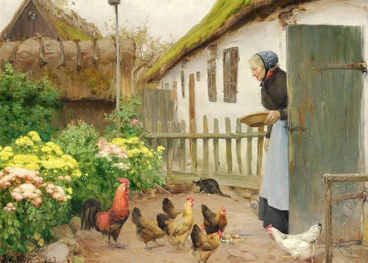 Woman feeding a rooster and hens in a sunlit farmyard with a black cat nearby
