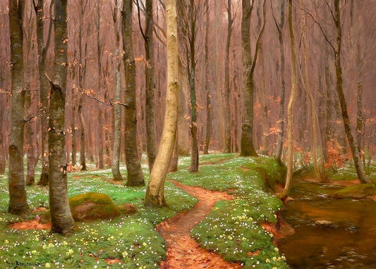 Painting of a forest path through bare beech trees carpeted with white spring anemones