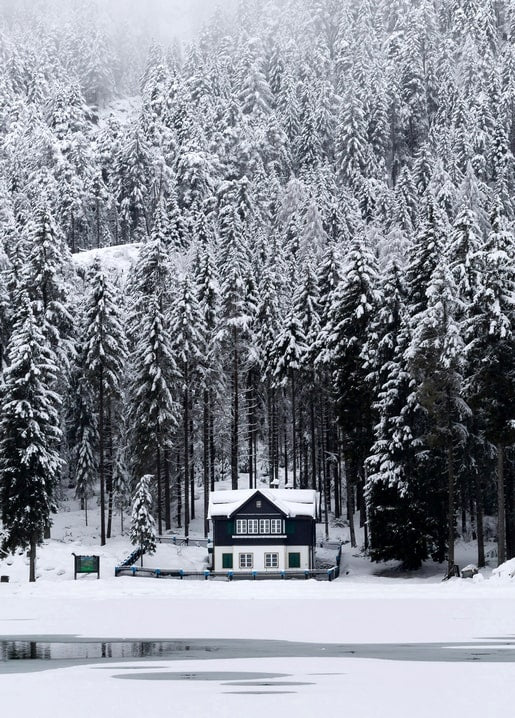 Dark wooden cabin at the edge of a frozen lake surrounded by snowy fir forest