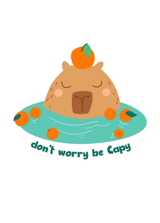 Illustrierte Capybara im Wasser mit Mandarinen und dem Spruch „Don’t worry, be Capy“