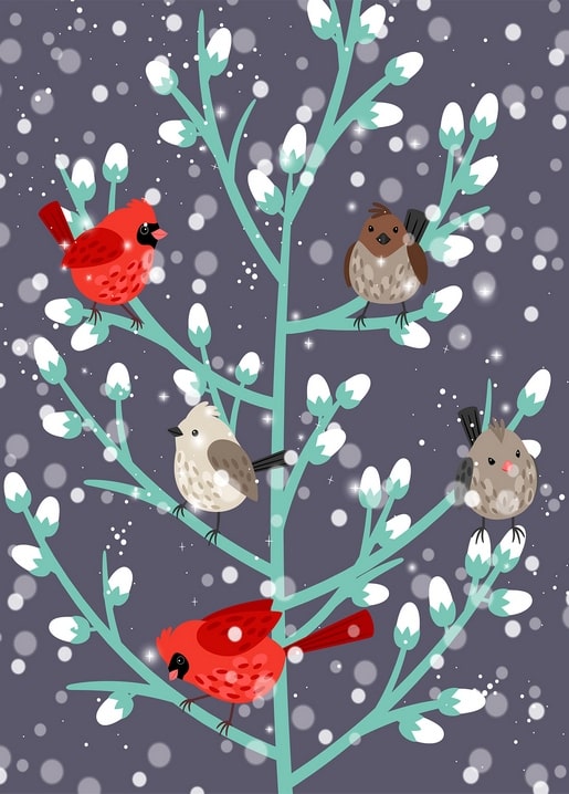 Illustration von zwei roten Kardinälen und drei Spatzen auf einem Schneezweig bei Nacht