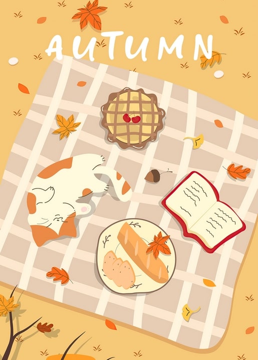 Top-down view of a ginger-and-white cat asleep on a plaid picnic blanket with pie, bread and an open book