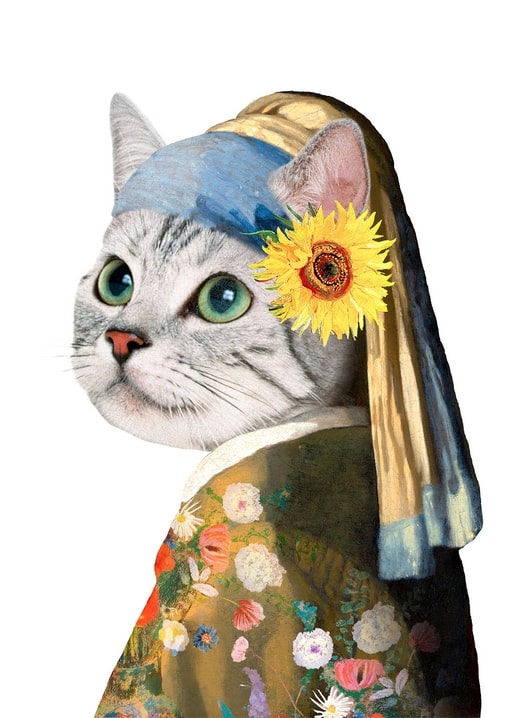 Grey tabby cat illustrated as Vermeer's Girl with a Pearl Earring, with a sunflower