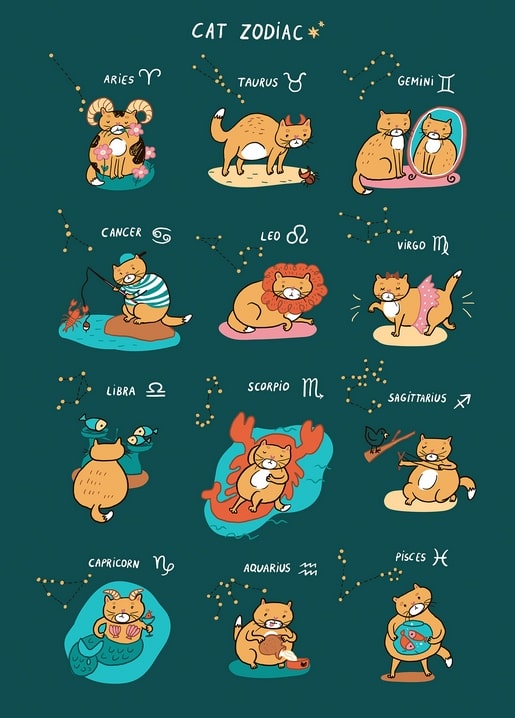 Illustrierte Tafel der zwölf Tierkreiszeichen als Cartoon-Katzen auf petrolfarbenem Hintergrund