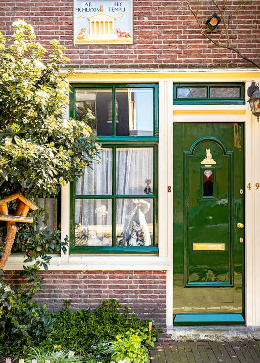 Cats in a lace-curtained window of a brick townhouse with a green door and blossoming shrub.