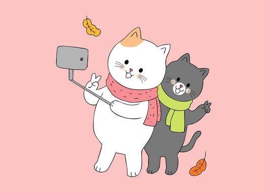 Cream and grey cats in scarves taking a selfie with a selfie stick among autumn leaves