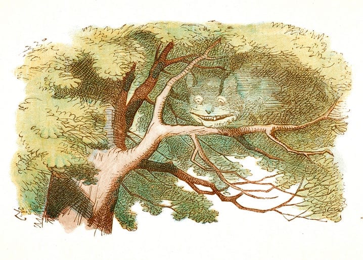 Cheshire Cat's grinning face hidden among tree branches and leaves, Alice in Wonderland postcard
