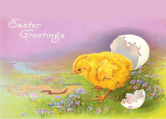 Vintage-Postkarte: gelbes Küken neben zerbrochener Eierschale zwischen Veilchen und Frühlingsgras.