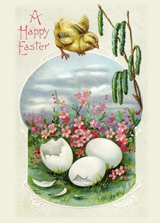 Illustration eines gelben Kükens über schlüpfenden Eiern zwischen rosa Blüten und Kätzchen.